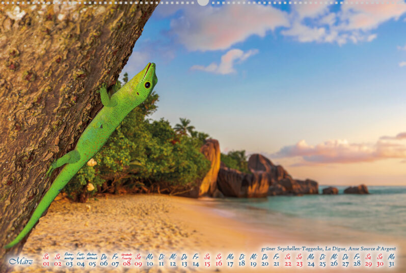 Fotokalender Magische Seychellen - Image 5