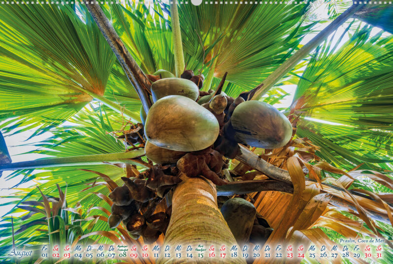 Fotokalender Magische Seychellen - Image 10